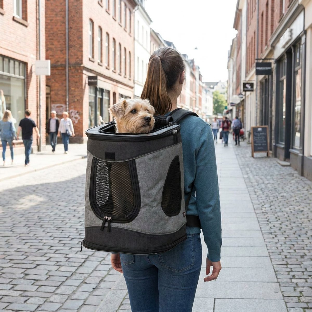 Kvinna med grå och svart kubformad bärryggsäck för hund går på en gata i stan, en liten hund tittar ut genom öppningen upptill