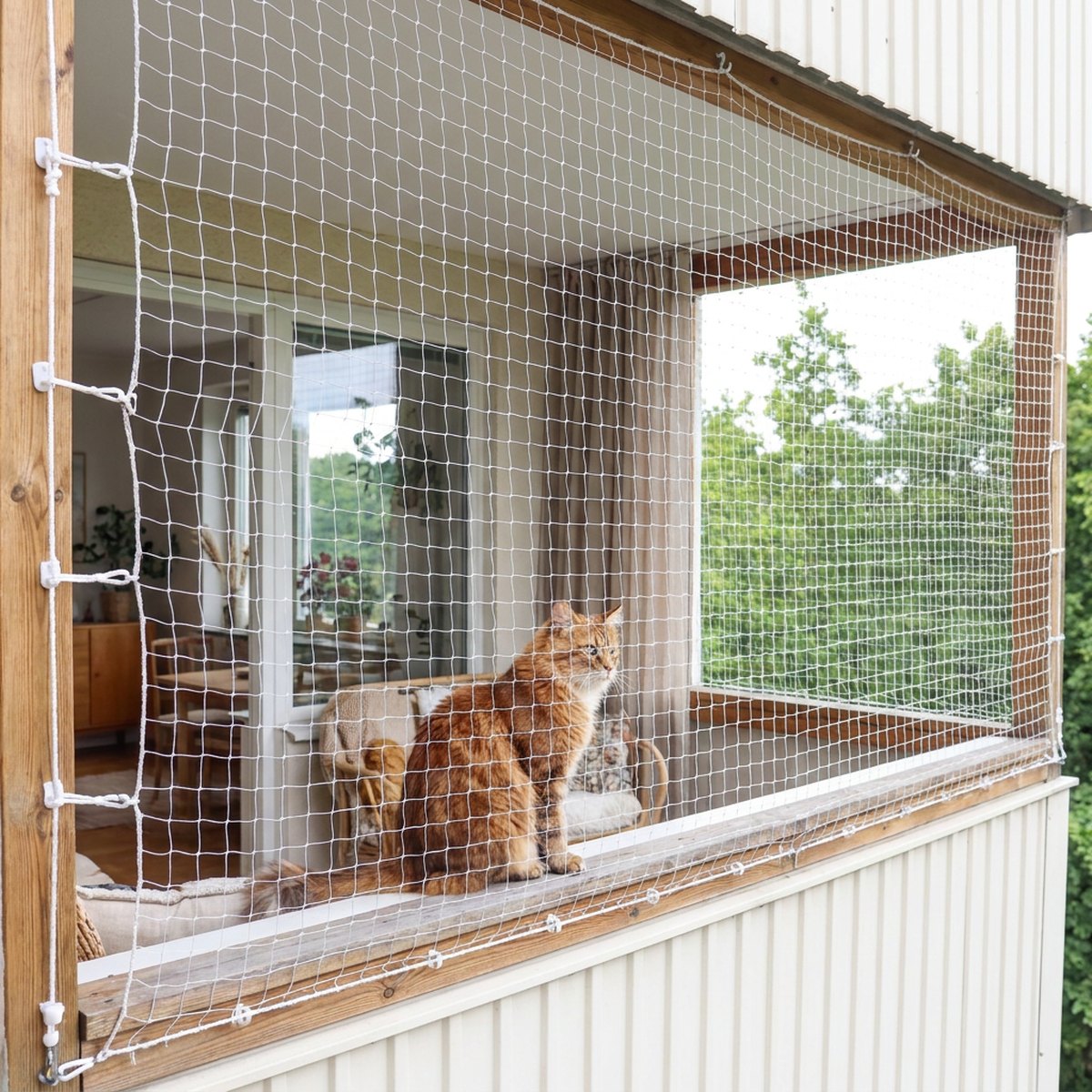 Orange katt sitter inuti ett storskaligt vitt knutet skyddsnät monterat över en hel balkong