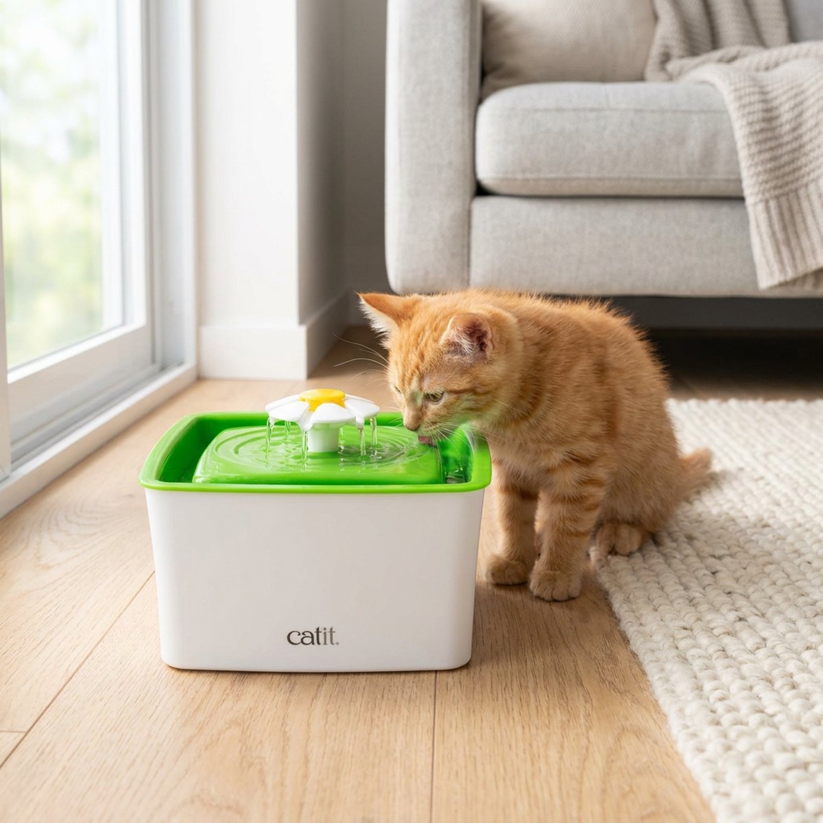 Orange kattunge som dricker ur en Catit Mini Flower vattenfontän med grön skål och vit blomma