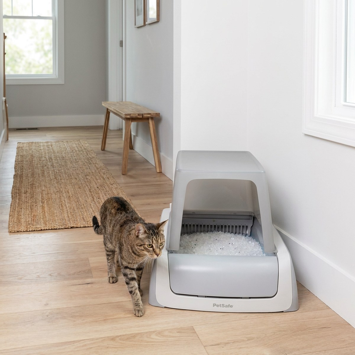 Låg automatisk kattlåda med vita silikatkristaller och en katt som passerar