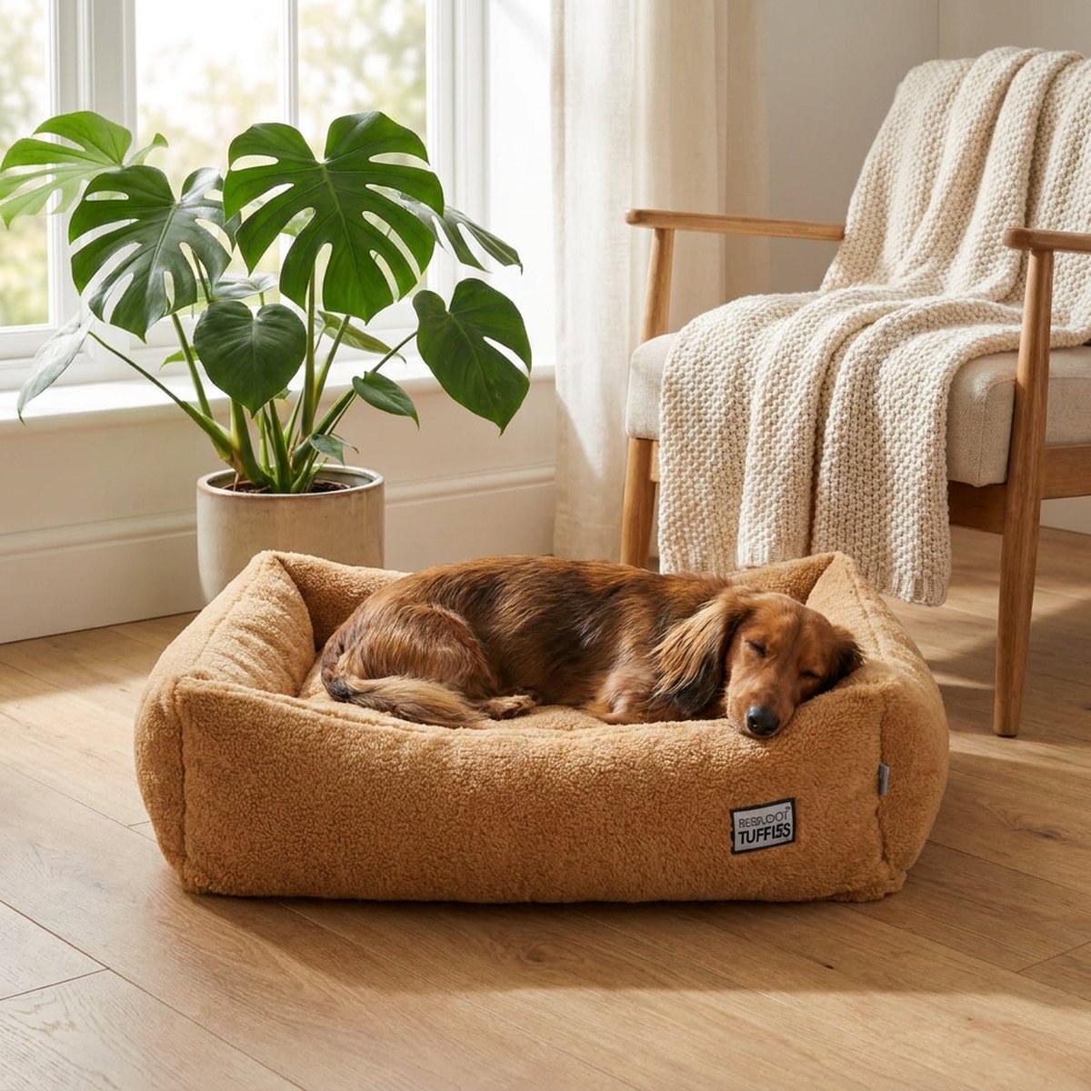 Tax som vilar i en rektangulär brun Resploot Tuffles teddybädd i ett vardagsrum
